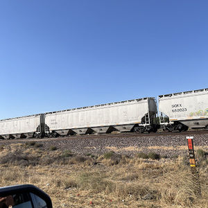 Meet your Posher, Jasmine